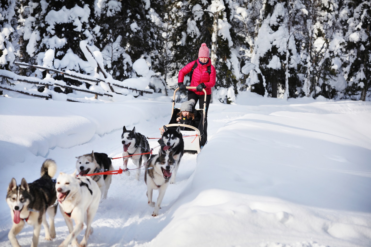 actividades en salla ruka laponia